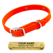  shop Little LASER Dawg -- HUNTER ORANGE 3/4 in. Biothane Standard Collar