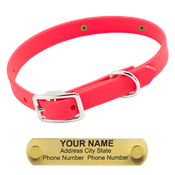 shop Little LASER Dawg -- HOT PINK 3/4 in. Biothane Standard Collar
