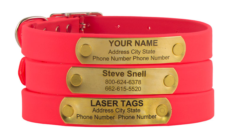 Little LASER Dawg -- HOT PINK 3/4 in. Super-Heavy Biothane Standard ...