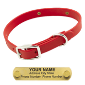  shop Little LASER Dawg -- CHERRY RED 3/4 in. Biothane Standard Collar
