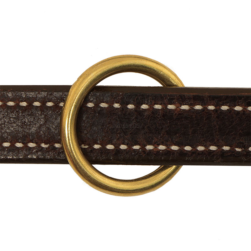 Leash Center Ring Detail