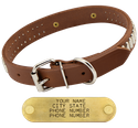 1 in. Bully Leather Studded Dog Collar