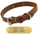 1 in. Gun Dog Deluxe Leather Standard Dog Collar