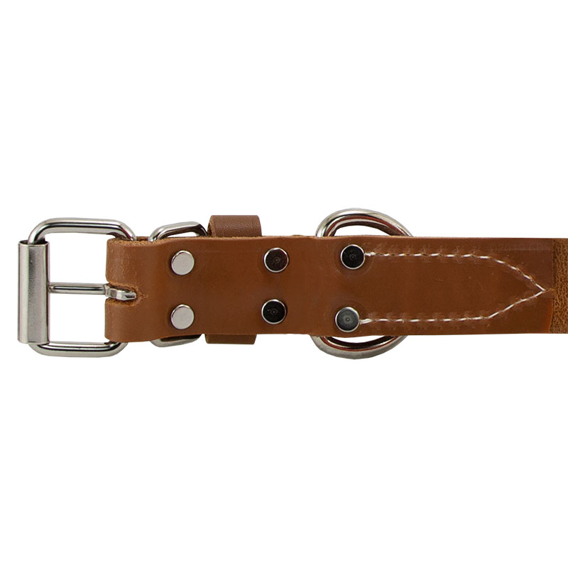 Leather Collar Back of Buckle Detail