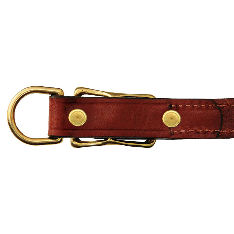 Leather Collar Back of Buckle Detail