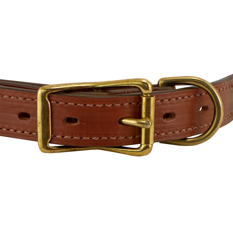 Leather Collar Front of Buckle Detail