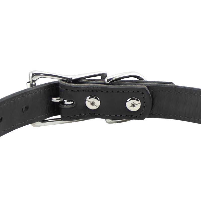 Black Leather Dog Collar Back of Buckle Detail