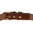 Leather Dog Collar Back of Buckle Detail
