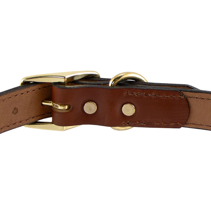 Leather Dog Collar Back of Buckle Detail