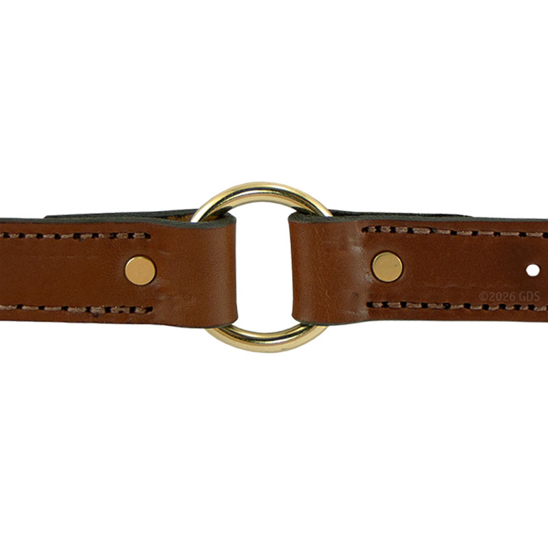 Leather Dog Collar Outside Center Ring Detail