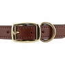 Leather Dog Collar Front of Buckle Detail