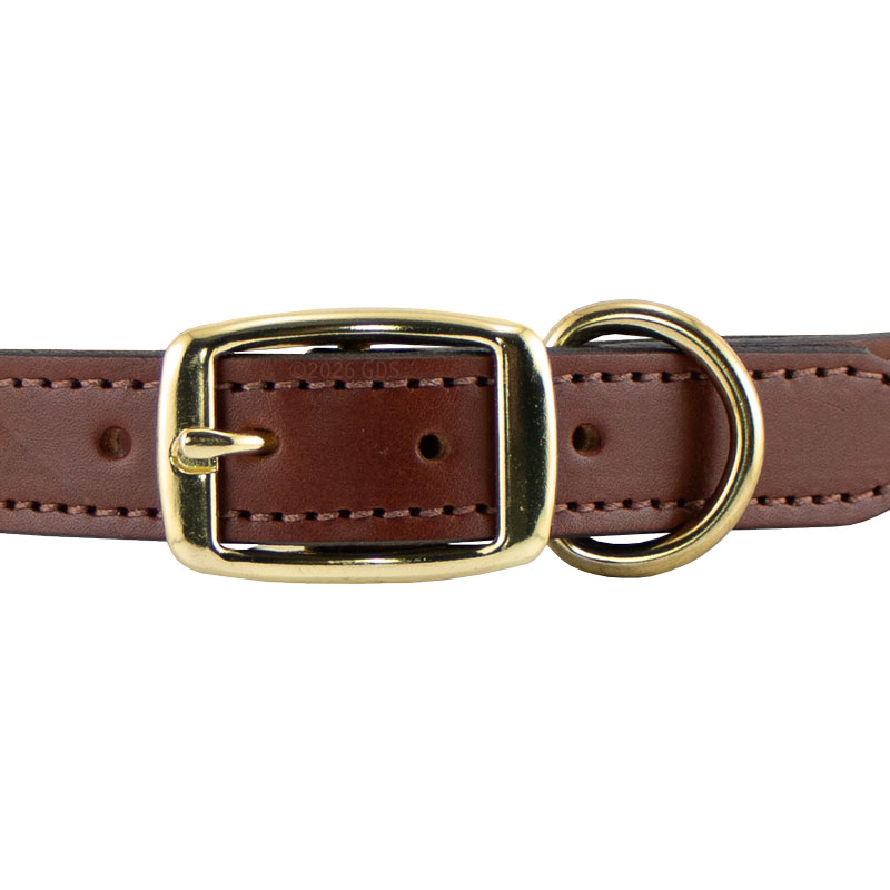 Leather Dog Collar Front of Buckle Detail