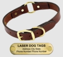 Leather Dog Collar with Name Plate