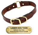 Leather Dog Collar with Name Plate