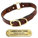 Leather Dog Collar with Name Plate