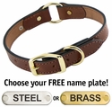 Leather Dog Collar with Name Plate