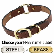 Leather Dog Collar with Name Plate