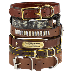 leather-dog-collars-for-active