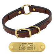  shop 3/4 in. Leather Puppy Collar with Name Plate