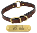 3/4 in. Leather Puppy Collar with Name Plate