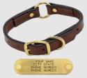3/4 in. Leather Puppy Collar with Name Plate