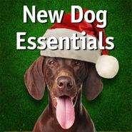  shop New Dog Essentials & Starter Kits