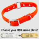 THE little DAWG -- HUNTER ORANGE 3/4 in. Biothane O-Ring Collar -- 15 in. Neck