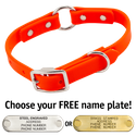 THE little DAWG -- HUNTER ORANGE 3/4 in. Biothane O-Ring Collar -- 15 in. Neck