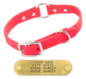THE little DAWG -- HOT PINK 3/4 in. Biothane O-Ring Collar -- 15 in. Neck