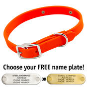  shop THE little DAWG -- HUNTER ORANGE 3/4 in. Biothane Standard Collar