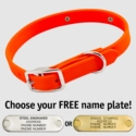 THE little DAWG -- HUNTER ORANGE 3/4 in. Biothane Standard Collar