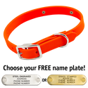 THE little DAWG -- HUNTER ORANGE 3/4 in. Biothane Standard Collar