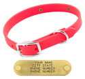 THE little DAWG -- HOT PINK 3/4 in. Biothane Standard Collar