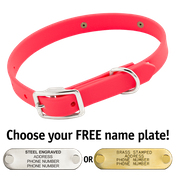  shop THE little DAWG -- HOT PINK 3/4 in. Biothane Standard Collar