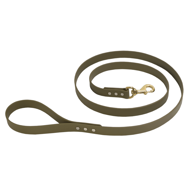Big DAWG Biothane Snap 6ft Lead 