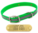 KELLY GREEN little dawg VISIBILITY 3/4 in. Biothane Puppy & Small Dog Standard Collar