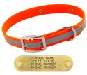 HUNTER ORANGE little dawg VISIBILITY 3/4 in. Biothane Puppy & Small Dog Standard Collar