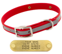 CHERRY RED little dawg VISIBILITY 3/4 in. Biothane Puppy & Small Dog Standard Collar