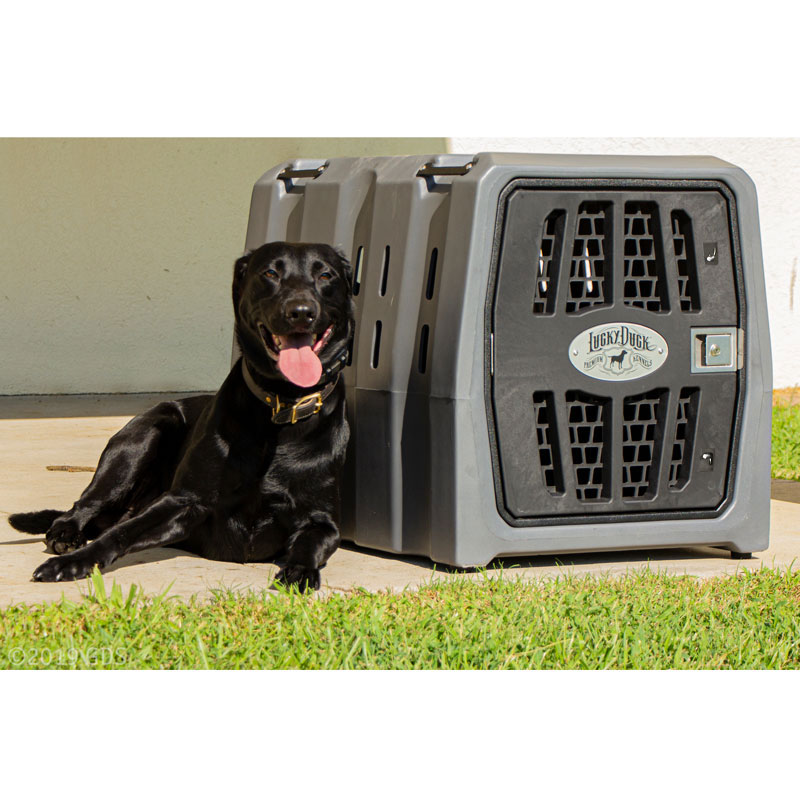 MOPIX Lucky Duck Intermediate Kennel in Use.