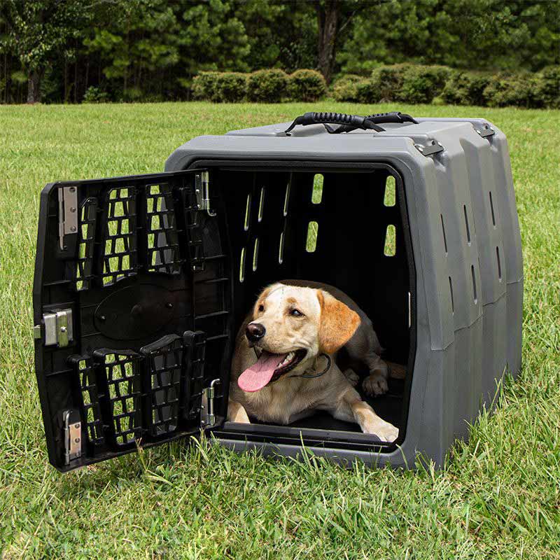 MOPIX Lucky Duck Intermediate Kennel in Use.