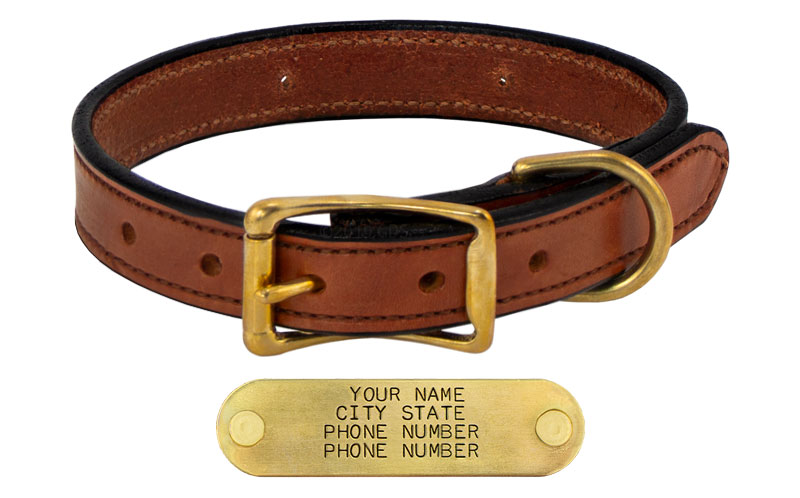 www.gundogsupply.com