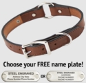 MAHOGANY Big Dawg Deluxe Leather O-RING Dog Collar