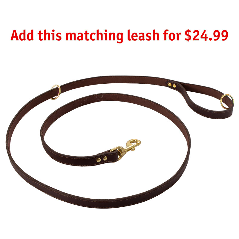 MOPIX Matching Leash Option.