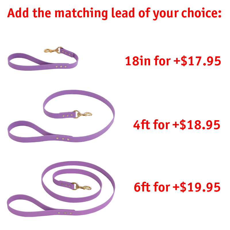 MOPIX Matching Leash Option.