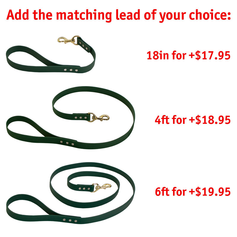 Matching Leash Option