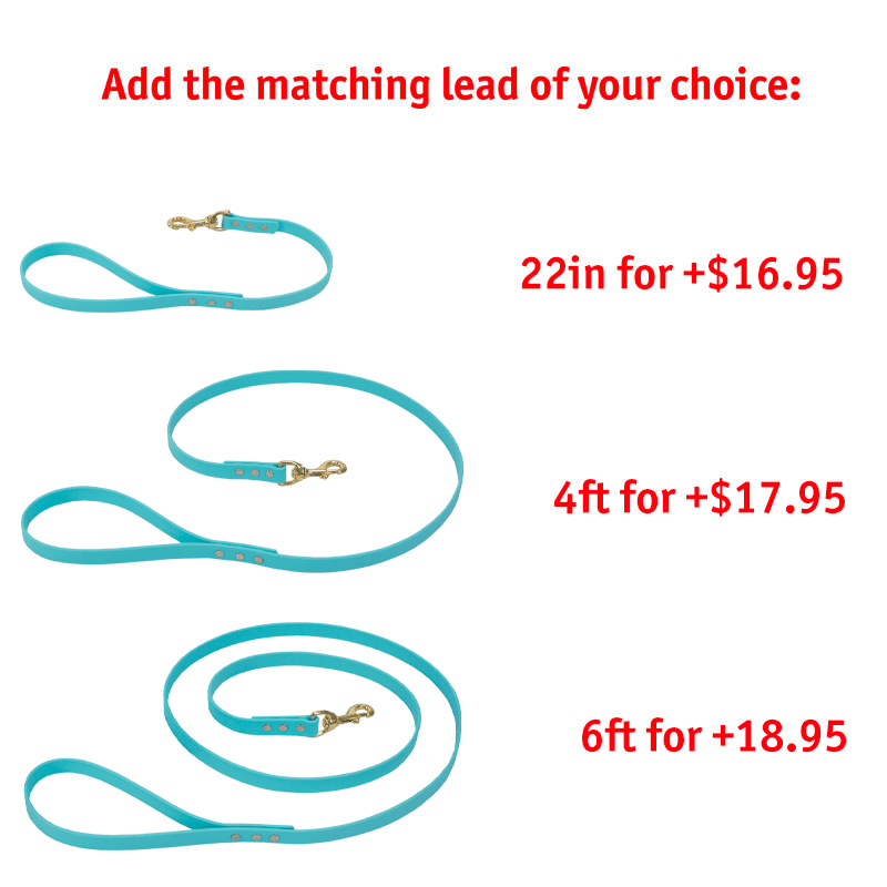 Matching Leash Option