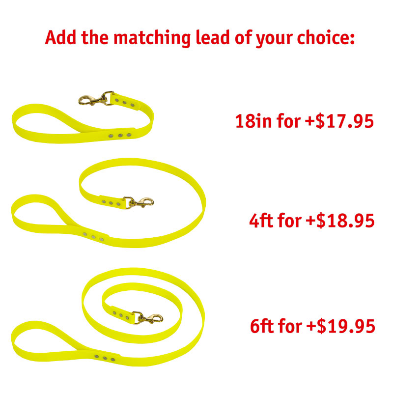 Matching Leash Option