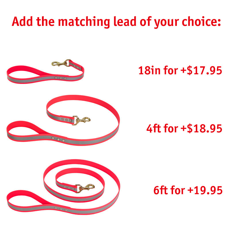 Matching Leash Option
