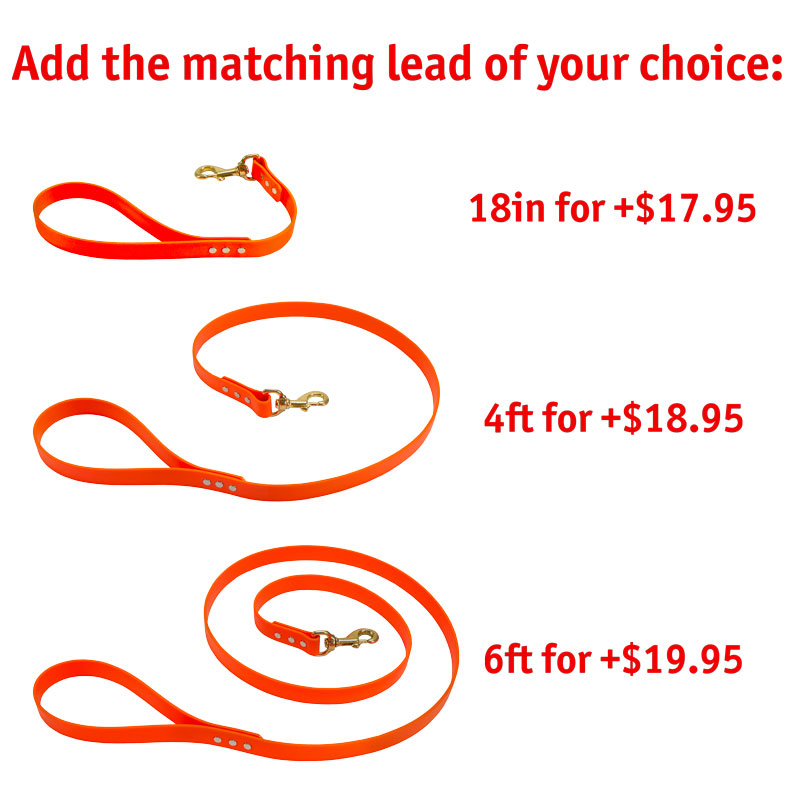 Matching Leash Option