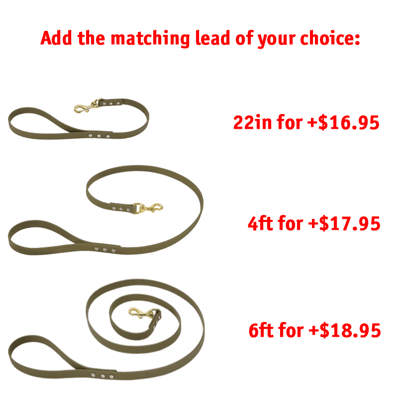 Matching Leash Option